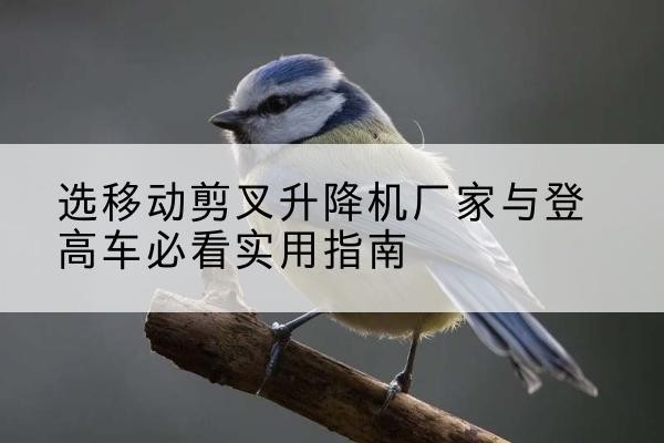 龙海电动升降机厂家-选移动剪叉升降机厂家与登高车必看实用指南