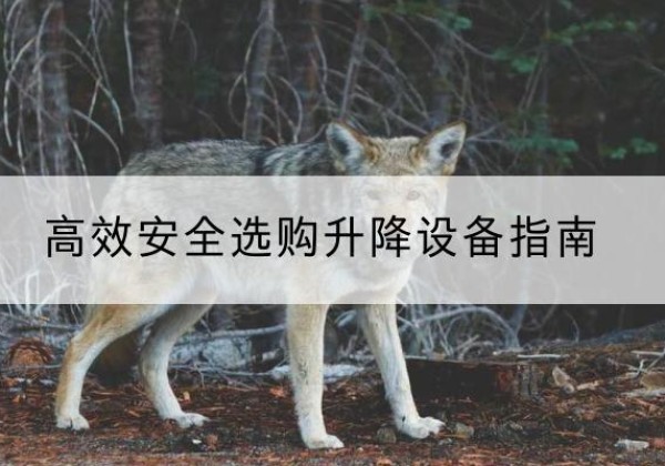 龙海升降货梯厂家推荐-*安全选购升降设备指南