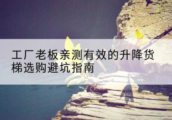 龙海升降货梯怎么选-工厂老板亲测有效的升降货梯选购避坑指南
